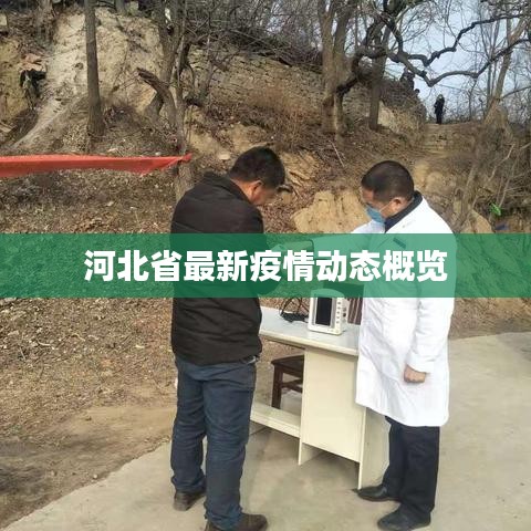 河北省最新疫情动态概览