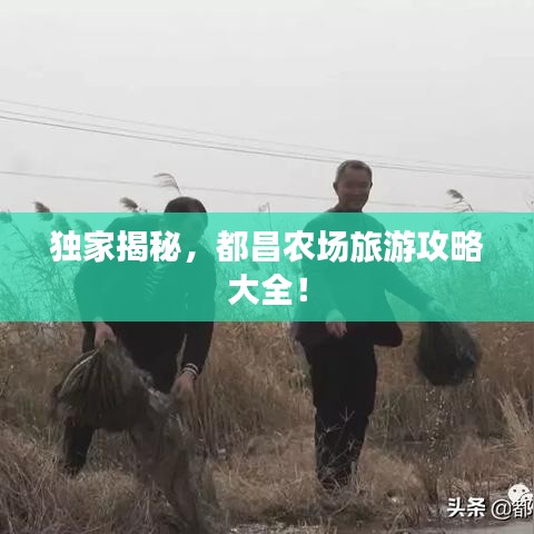 独家揭秘，都昌农场旅游攻略大全！