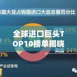 全球进口巨头TOP10榜单揭晓，揭秘全球贸易格局的新动态