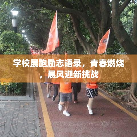 学校晨跑励志语录，青春燃烧，晨风迎新挑战