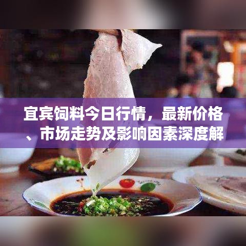 宜宾饲料今日行情，最新价格、市场走势及影响因素深度解析