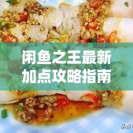闲鱼之王最新加点攻略指南