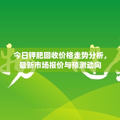 今日钾肥回收价格走势分析，最新市场报价与预测动向