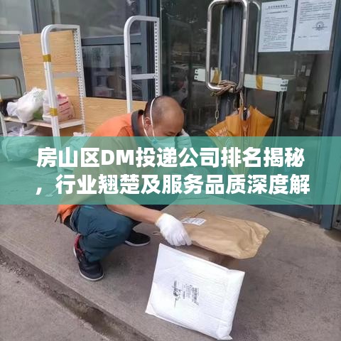 房山区DM投递公司排名揭秘，行业翘楚及服务品质深度解析
